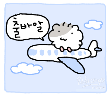 New Year Reflections and Daily Life_02