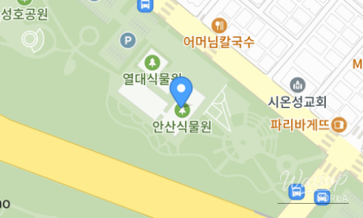 Exploring Ansan Botanical Garden: A Local Tour_04