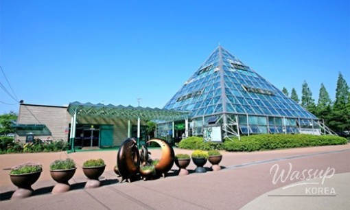 Exploring Ansan Botanical Garden: A Local Tour_01