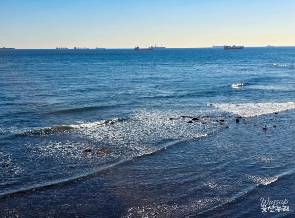 A Perfect Date Course in Ulsan: Seoldo_12