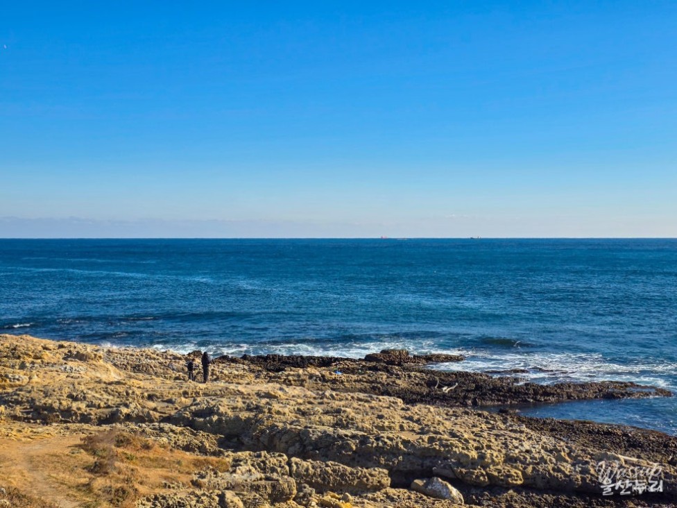 A Perfect Date Course in Ulsan: Seoldo_09