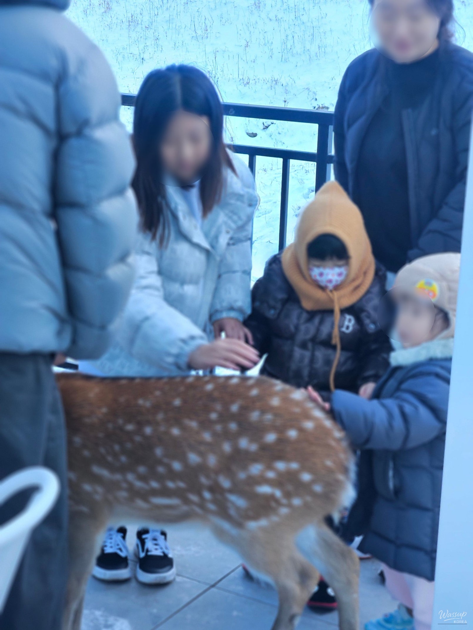 A Serene Journey Through Taebaek with a Travel Writer_09