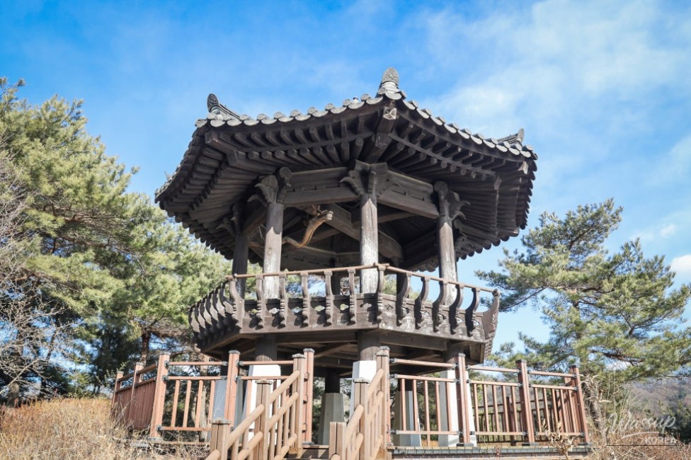 Winter at Busodam Rock_10