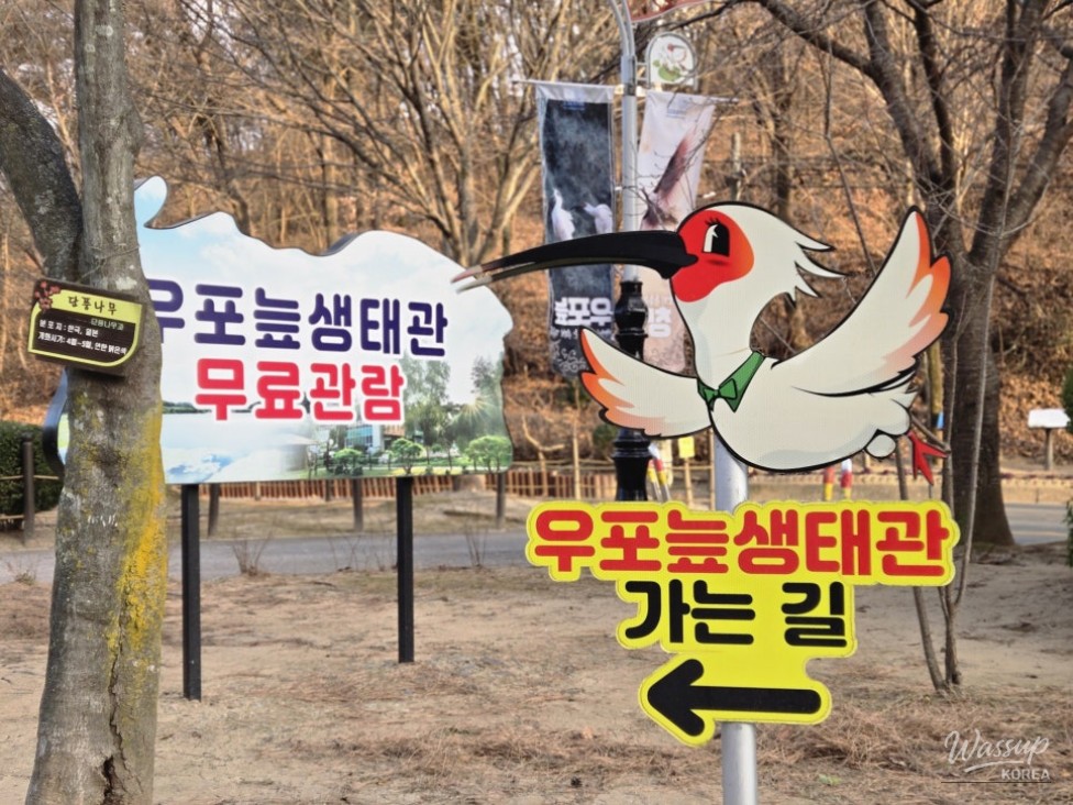 Exploring the Upo Wetland Eco Museum in Changnyeong_04