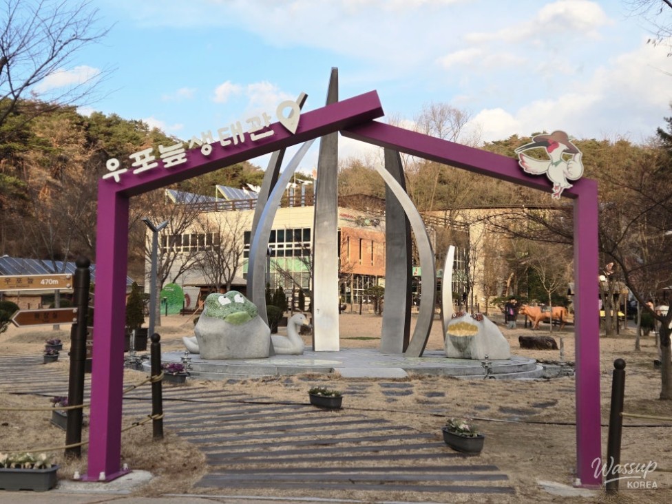 Exploring the Upo Wetland Eco Museum in Changnyeong_05