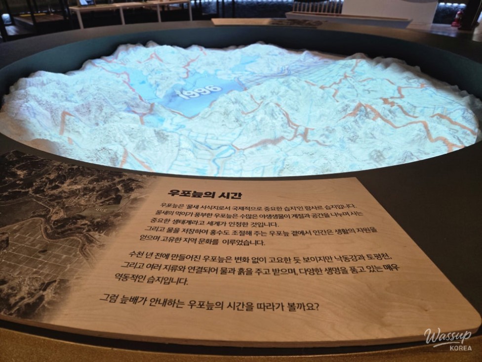 Exploring the Upo Wetland Eco Museum in Changnyeong_09