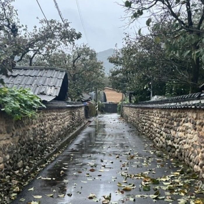Exploring the Tranquil Stone Wall Path of Jijeon Village in Muju_01
