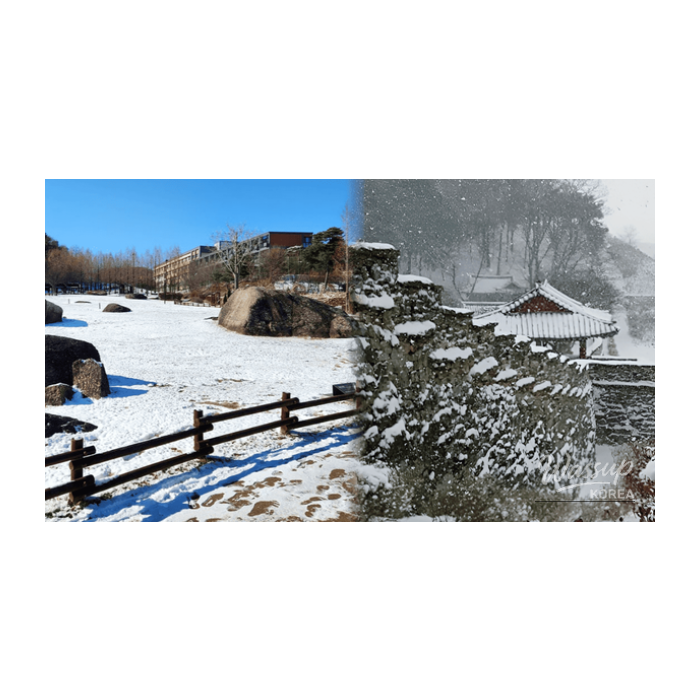 Exploring the Winter Charms of Gochang_01