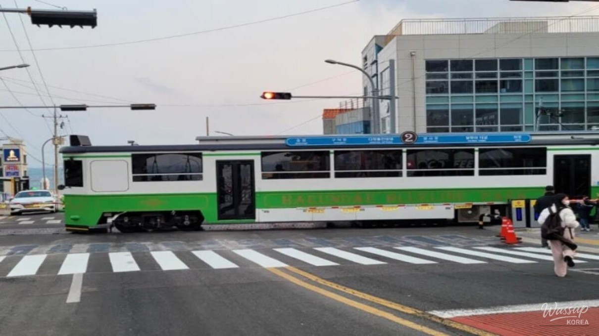 Exploring the Coastal Charm of Cheongsapo_02