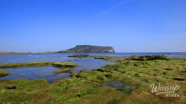 Winter Wonders: The Best Beaches in Jeju Island_03