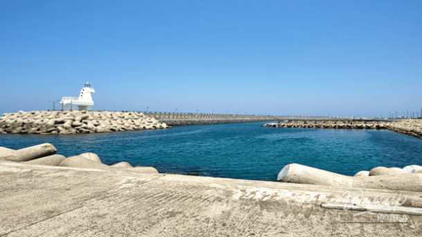 Winter Wonders: The Best Beaches in Jeju Island_04