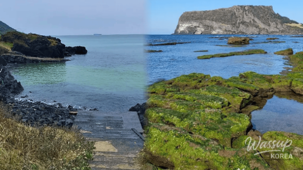 Winter Wonders: The Best Beaches in Jeju Island_01