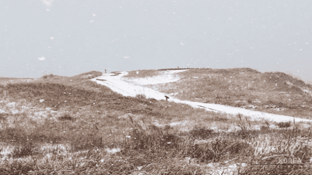 Hidden Winter Travel Destinations in Korea_04