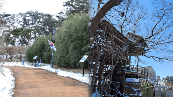 Hidden Winter Destinations in Gimje, South Korea_01