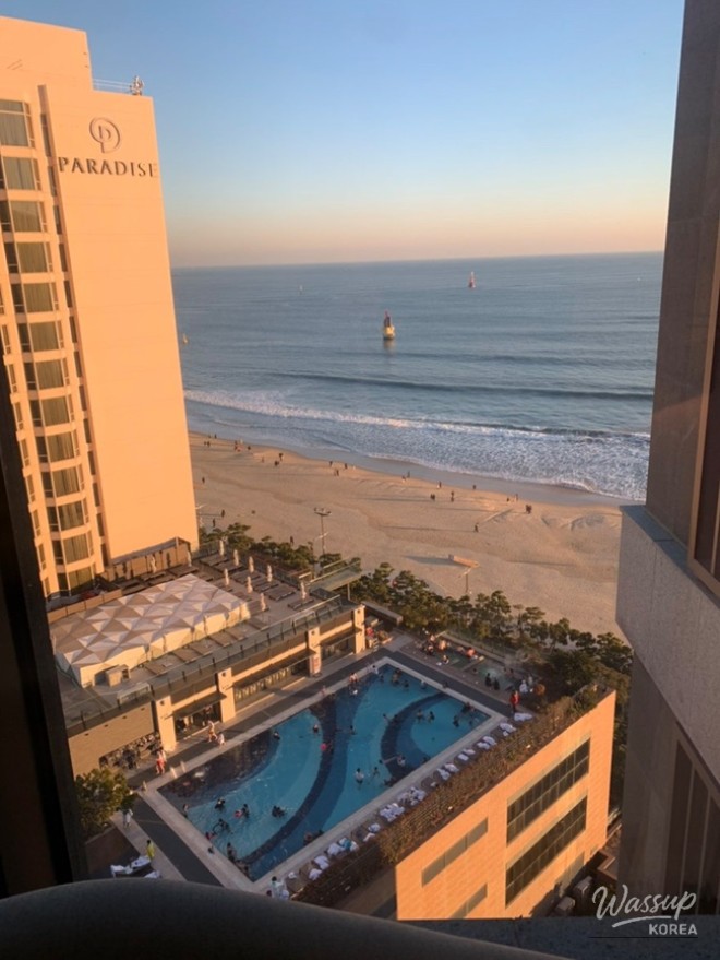 Reflections on a Joyful Year-End_03