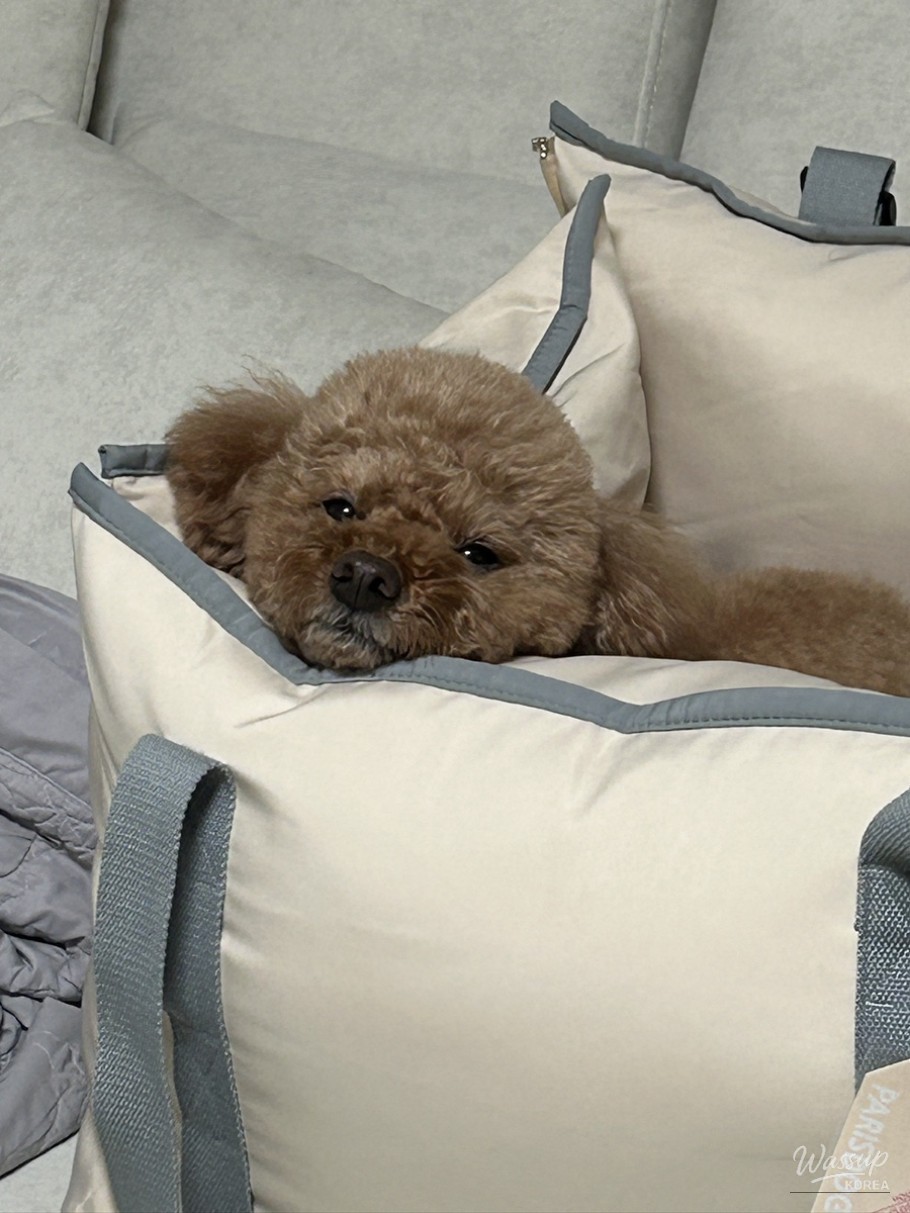 Reflections on December_09