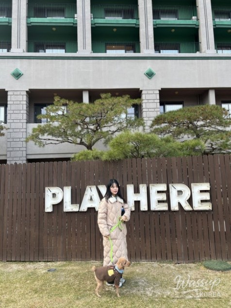 Reflections on December_03