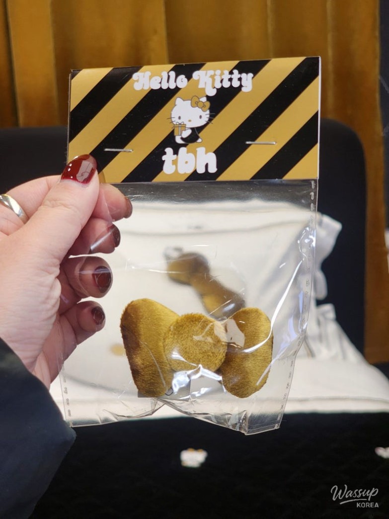 My Recent Adventures with Hello Kitty and Friends_05