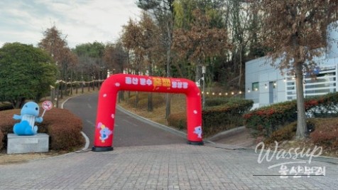 Enjoy Winter Sports in Ulsan_03