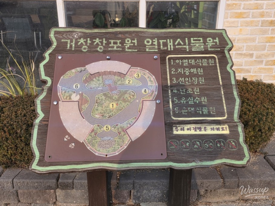 A Warm Winter Visit to Geochang Changpo Tropical Garden_05