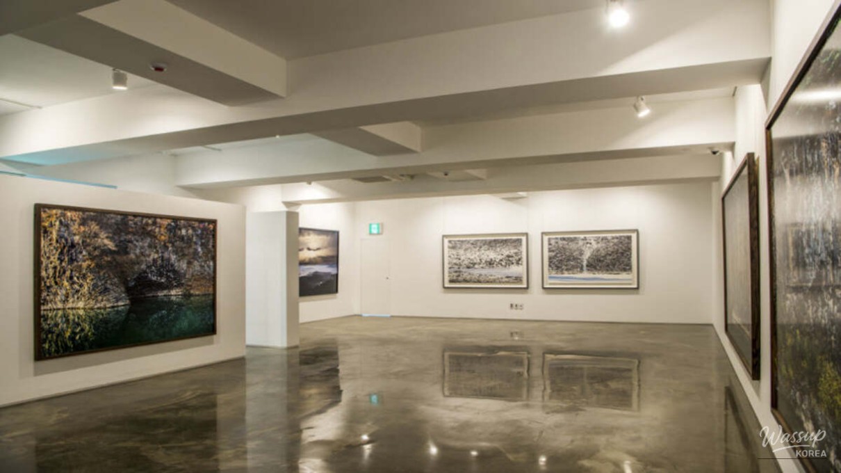 A Unique Art Experience in the DMZ_05