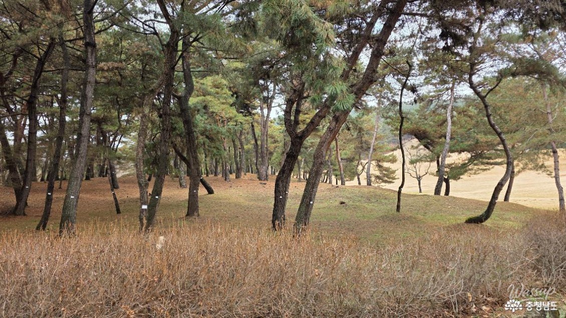 Exploring the Buyeo Royal Tombs_10