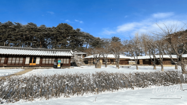 Best Winter Day Trips in Gangneung_05