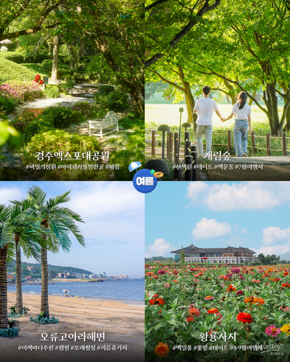 Discover Gyeongju: A Year-Round Travel Destination_03