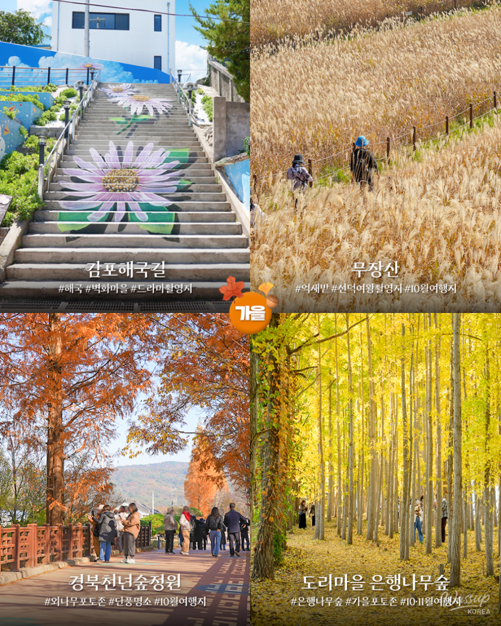 Discover Gyeongju: A Year-Round Travel Destination_04