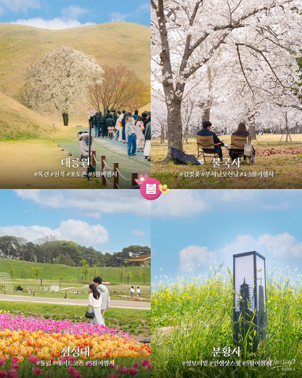 Discover Gyeongju: A Year-Round Travel Destination_02