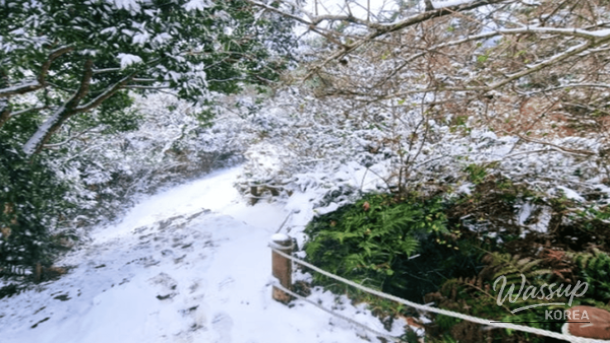 Top 4 Winter Hiking Destinations in Jeju_05