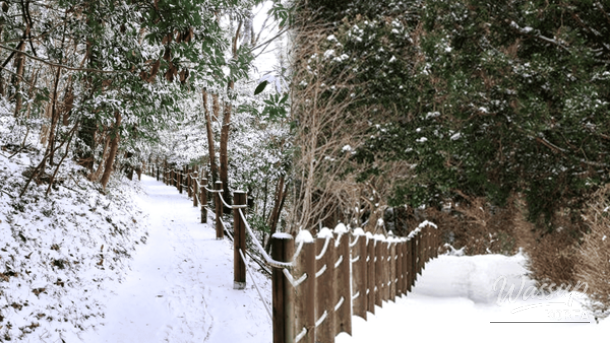 Top 4 Winter Hiking Destinations in Jeju_01