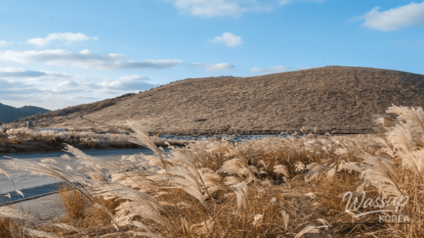 Top 4 Winter Hiking Destinations in Jeju_04