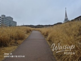 Exploring the Seoul City Wall from Dongdaemun to Naksan_04