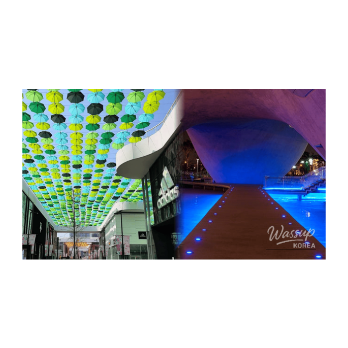 Winter Charm in Songdo: Top 4 Must-Visit Places2085