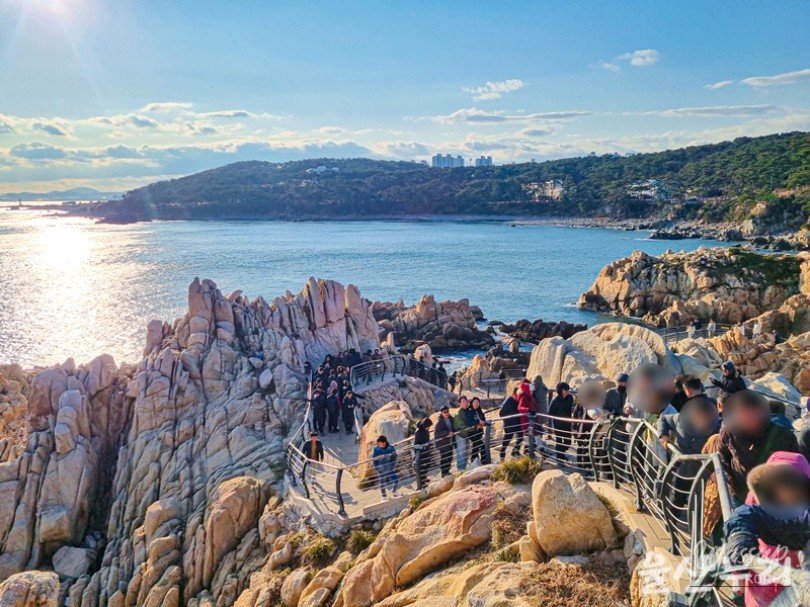 Exploring Daewangam Park: A Natural Retreat in Ulsan_13