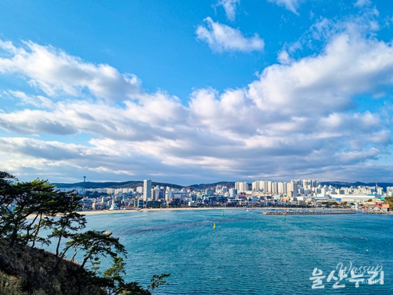 Exploring Daewangam Park: A Natural Retreat in Ulsan_04