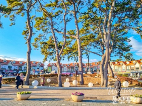 Exploring Daewangam Park: A Natural Retreat in Ulsan_03