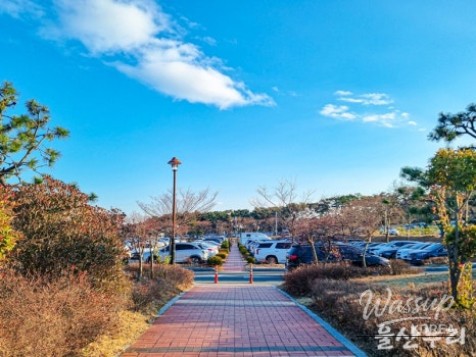 Exploring Daewangam Park: A Natural Retreat in Ulsan_02