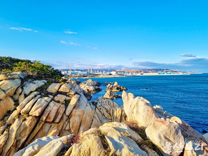 Exploring Daewangam Park: A Natural Retreat in Ulsan_19