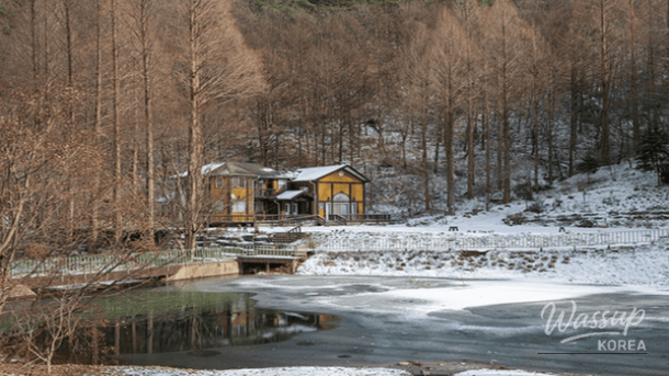 Winter Getaways in Nonsan: Top 4 Must-Visit Spots_04
