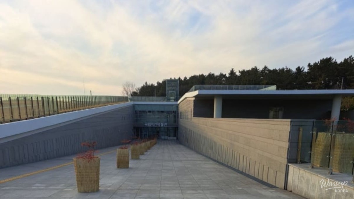 The Invisible Museum: A Harmonious Blend of Modern Architecture and History_01