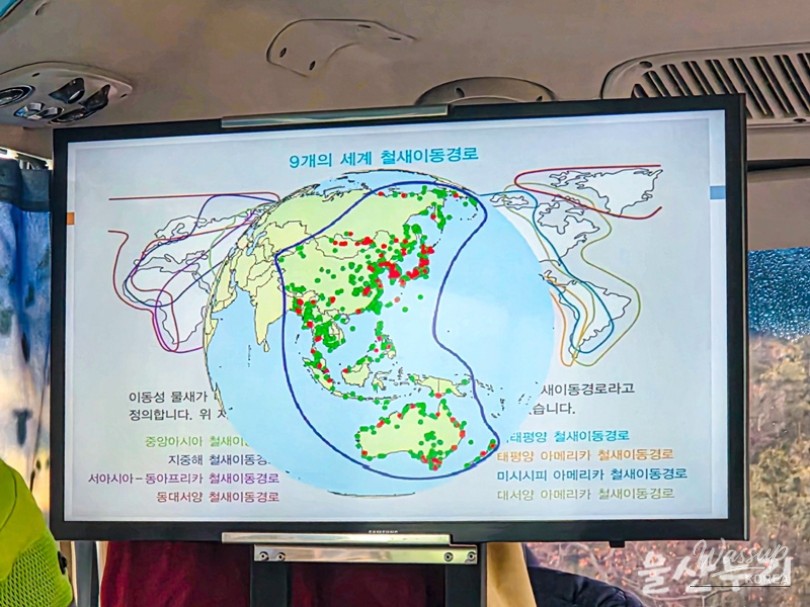 Explore Ulsan's Winter Birdwatching Experience_03