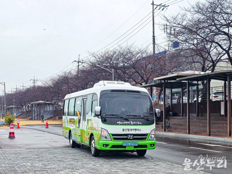 Explore Ulsan's Winter Birdwatching Experience_02