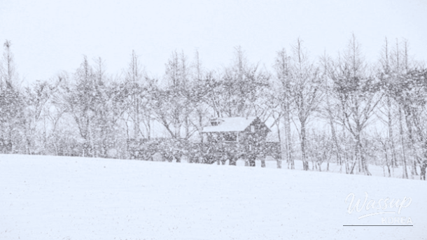 Winter Getaways Near Seoul: Top 4 Destinations_04