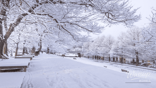 Exploring Korea: Top 4 Destinations for Solo Travelers in February_05