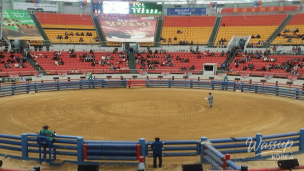 Exploring Korea: Top 4 Destinations for Solo Travelers in February_03