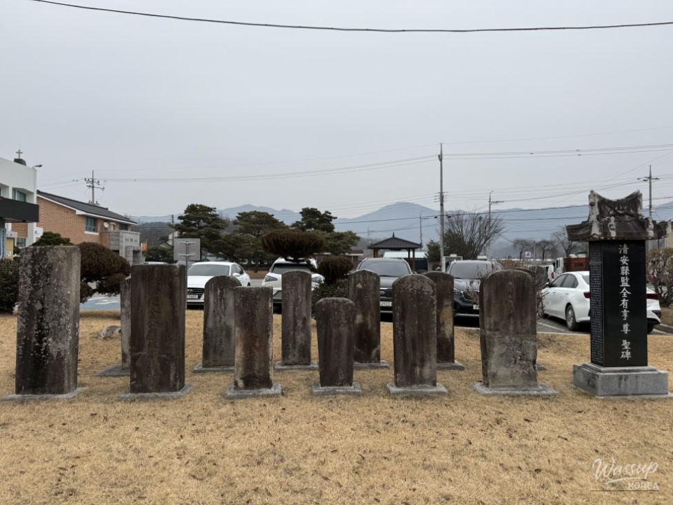 Exploring Goesan: The Wish-Granting Tree and Historical Treasures_04