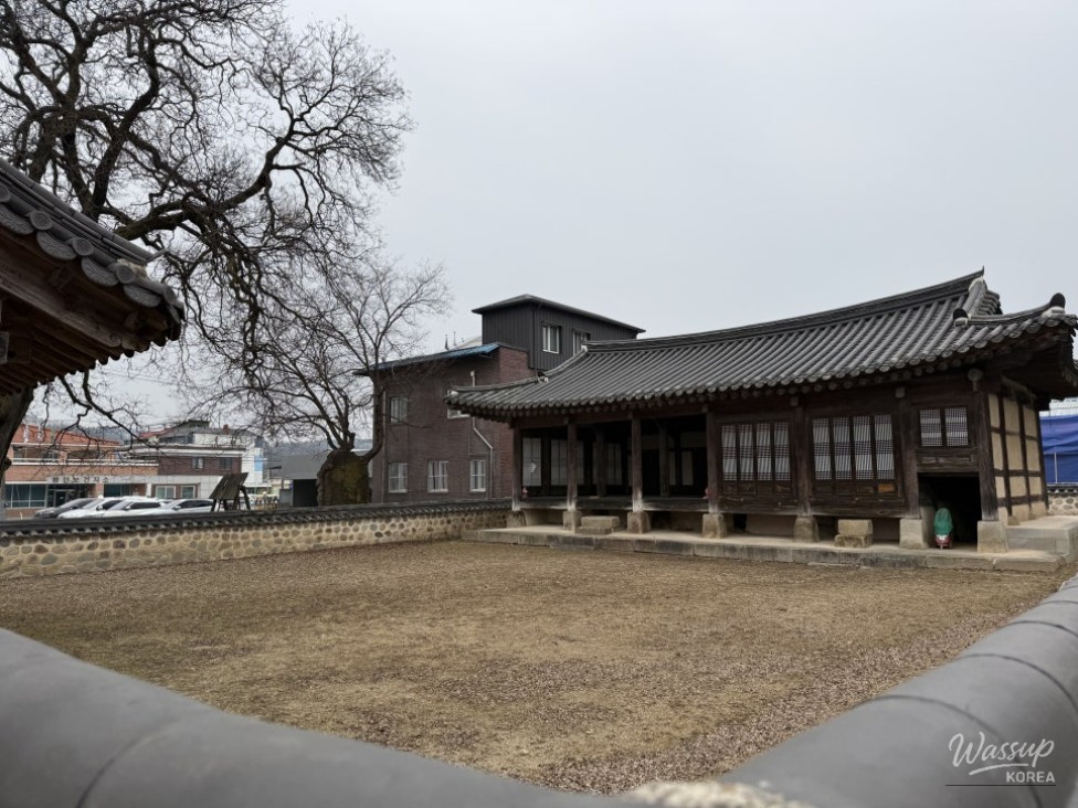 Exploring Goesan: The Wish-Granting Tree and Historical Treasures_02