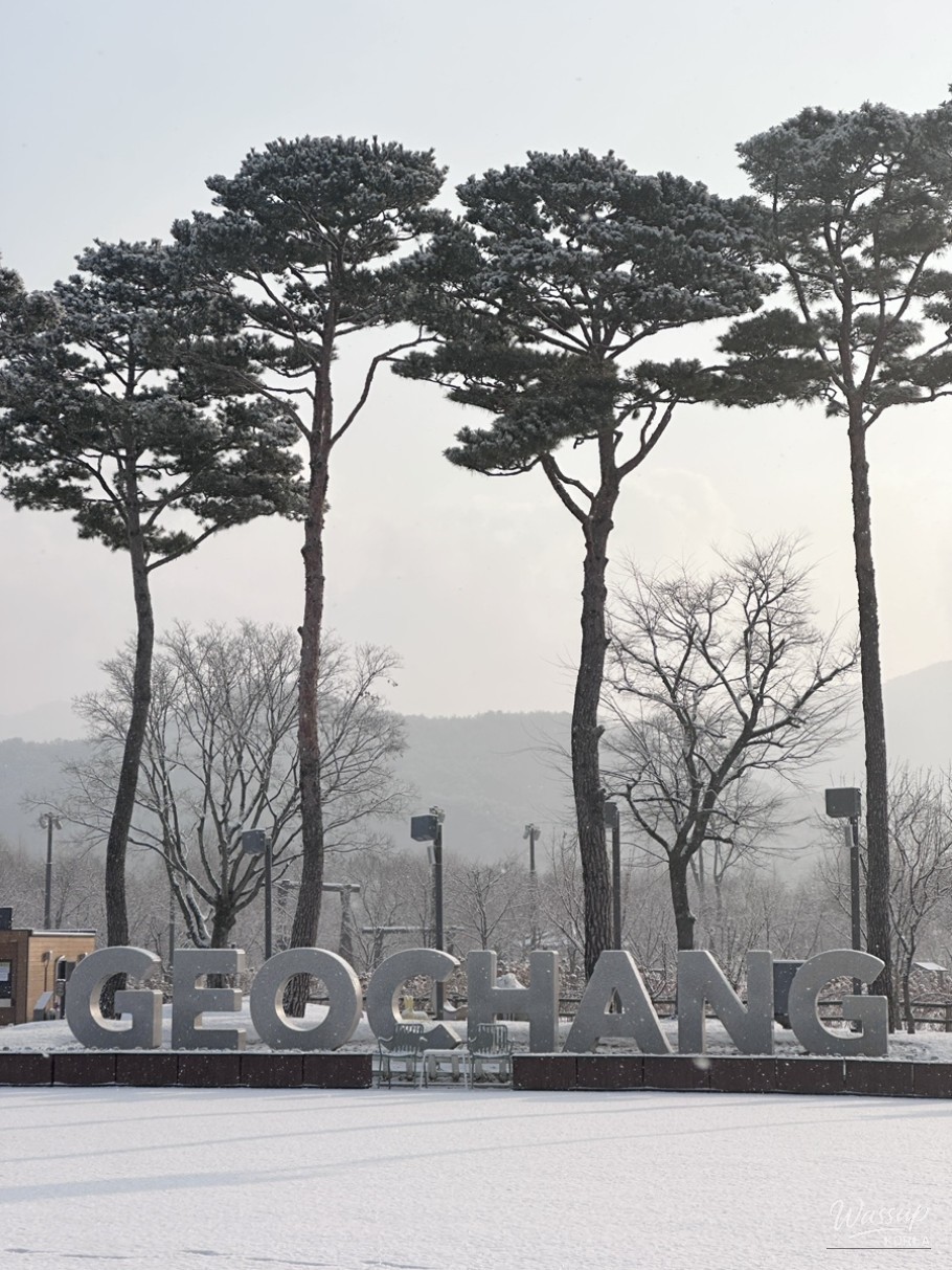 Winter Wonderland at Geochang Changpo Garden_03